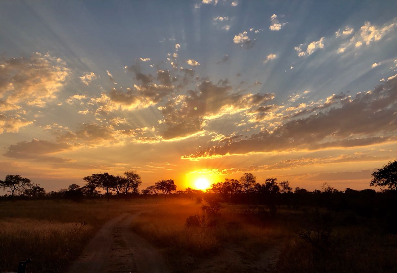 Landscapes  142 Landscapes  142