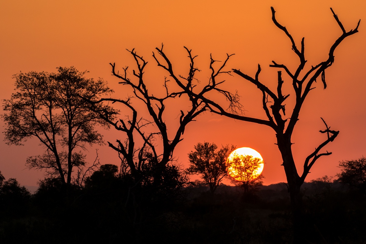 Landscapes  51 Landscapes  51