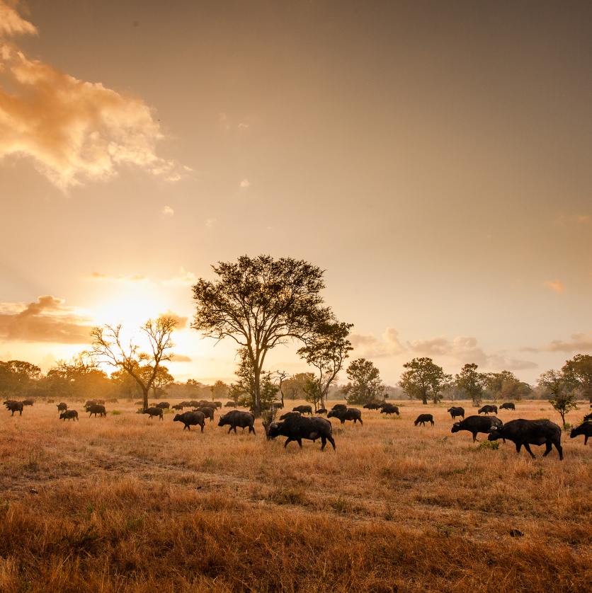 YPO 20 08 SABIBUSH JOHN 019 YPO 20 08 SABIBUSH JOHN 019