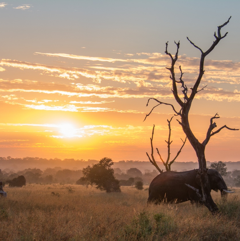 Ellie Sunrise 1 Of 1   High Res Smaller Ellie Sunrise 1 Of 1   High Res Smaller