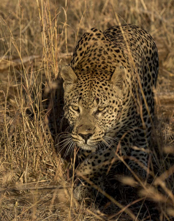 04Kyle Max Territory 9 04Kyle Max Territory 9