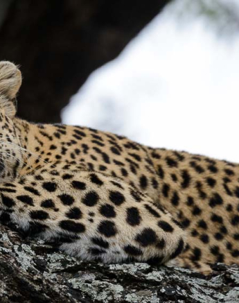 06Mike Palmer White Dam 071215 2 06Mike Palmer White Dam 071215 2