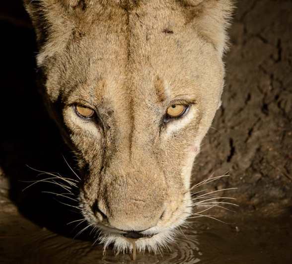 09Mike Palmer Charleston SP 061215 3 09Mike Palmer Charleston SP 061215 3