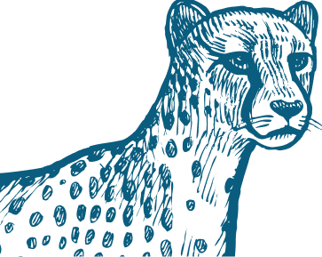 Bgt Blue Cheetah Bgt Blue Cheetah