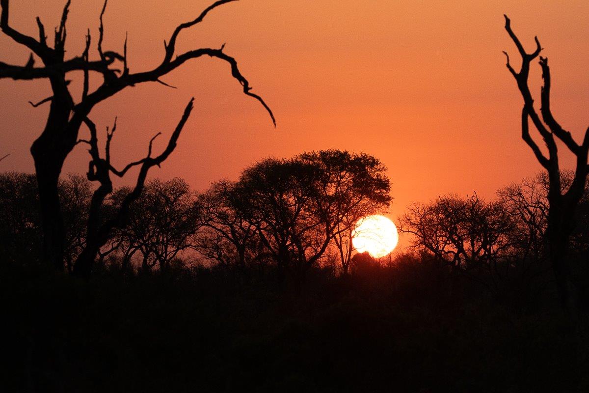 Vibrant sunset captured over the Sabi Sabi reserve, painting the sky with warm hues. Vibrant sunset captured over the Sabi Sabi reserve, painting the sky with warm hues.