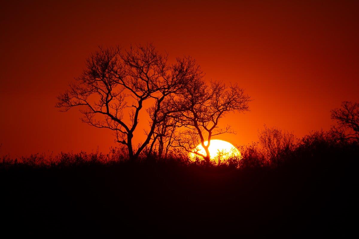 Scenic sunset over the Sabi Sabi reserve. Scenic sunset over the Sabi Sabi reserve.