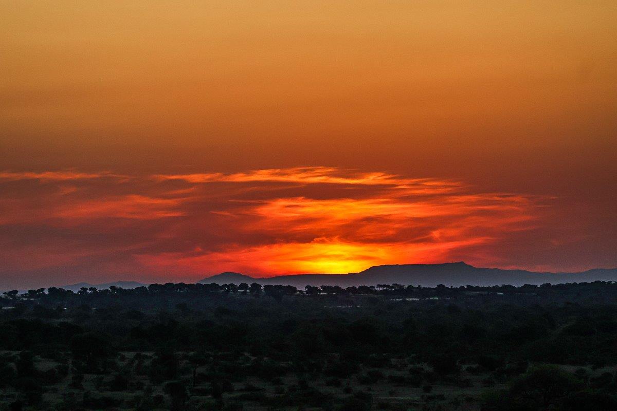 Deep red sunset in the bush Deep red sunset in the bush