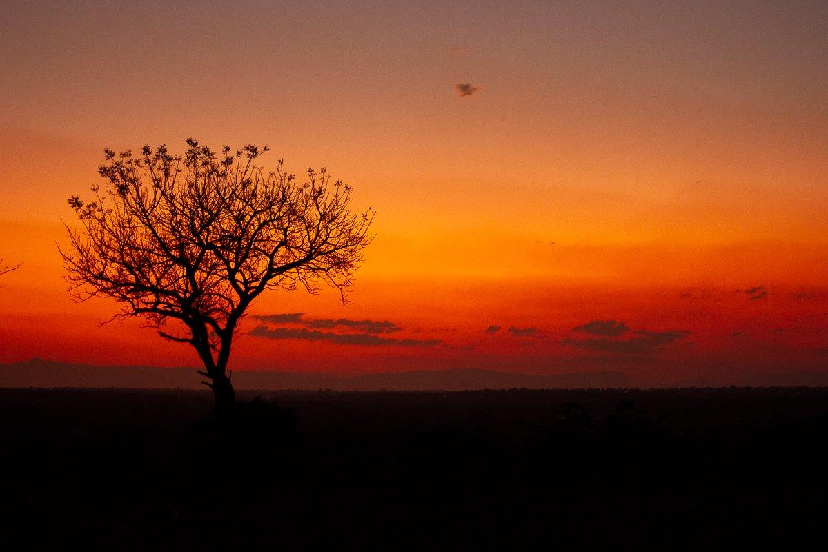 Another beautiful, crimson sunset in the African bush. Another beautiful, crimson sunset in the African bush.