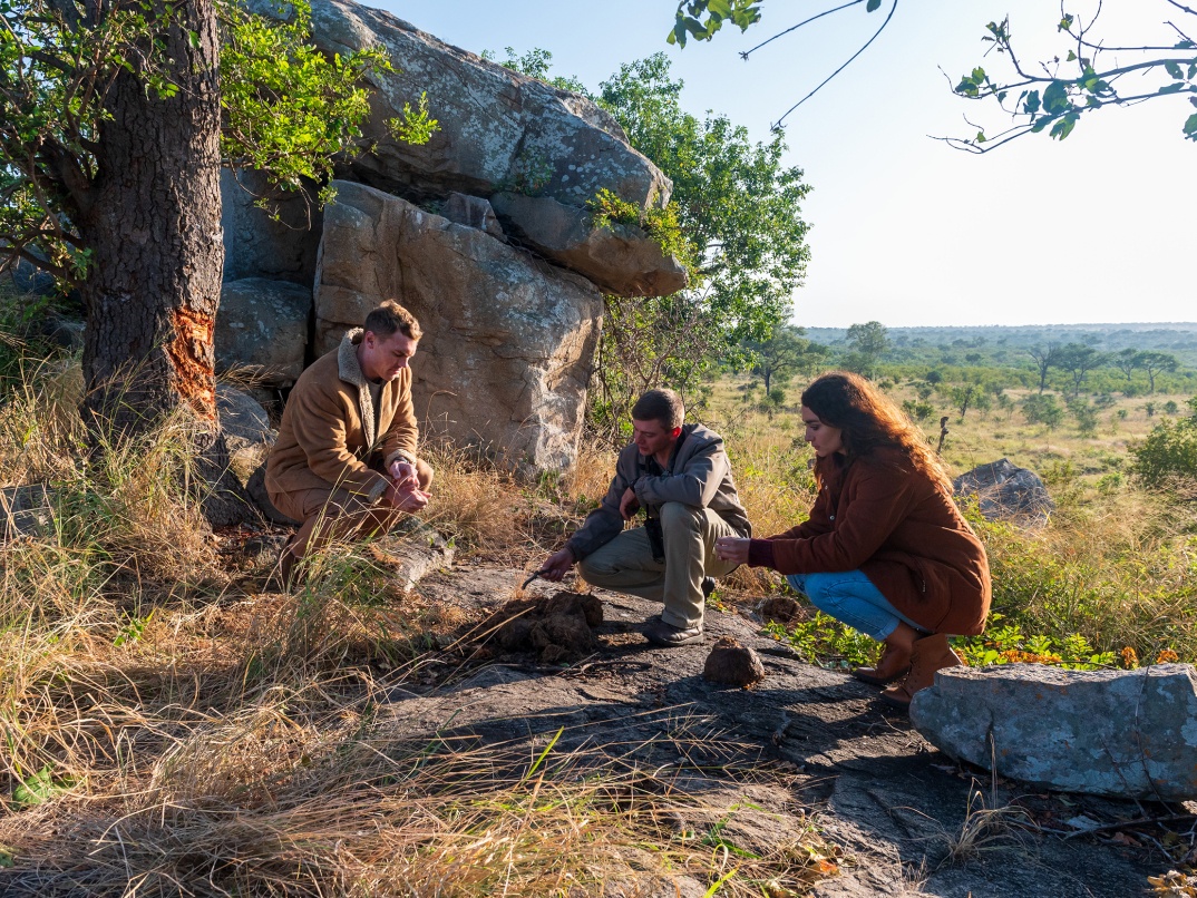 Sabi Sabi Experience Wildlife Walking Safari Sabi Sabi Experience Wildlife Walking Safari