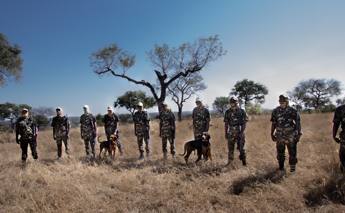 Sabi Sabi has its own dedicated anti-poaching units. Sabi Sabi has its own dedicated anti-poaching units.