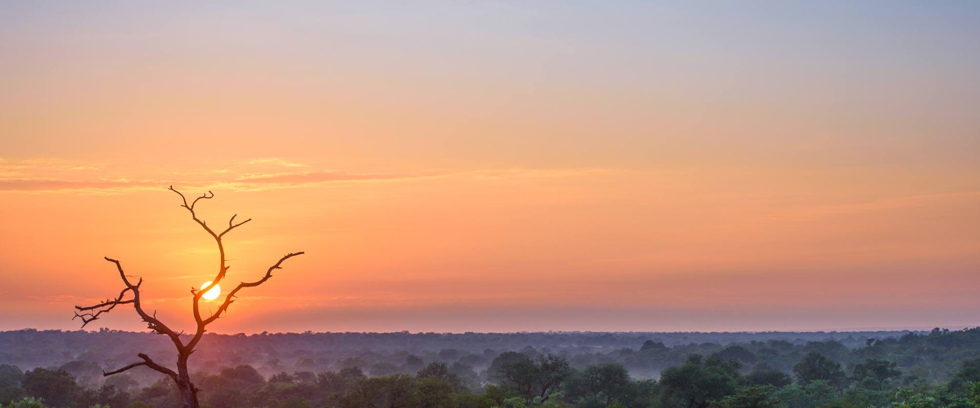 Beautiful red sunrise experience at Sabi Sabi Private Game Reserve. Beautiful red sunrise experience at Sabi Sabi Private Game Reserve.