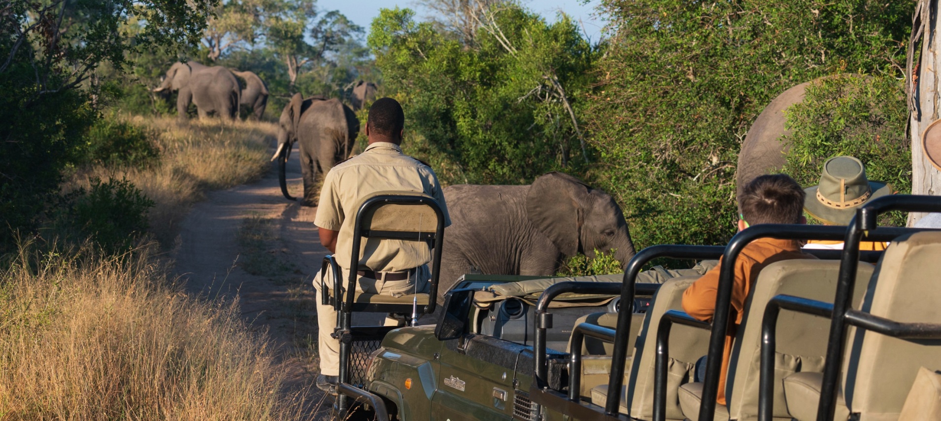 Enjoy close encounters and gain fresh perspectives of nature with exclusive Sabi Sabi game drives. Enjoy close encounters and gain fresh perspectives of nature with exclusive Sabi Sabi game drives.