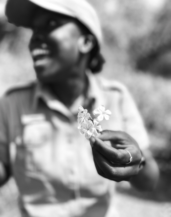 Sabi Sabi Guide Sabi Sabi Guide