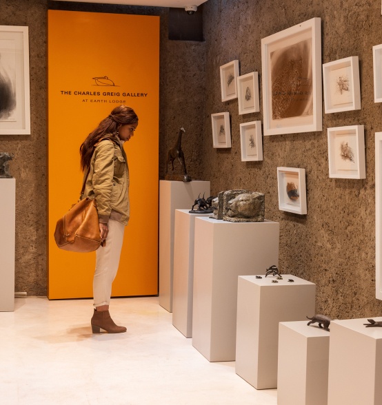 Sabi Sabi Earth Lodge Gallery Sabi Sabi Earth Lodge Gallery