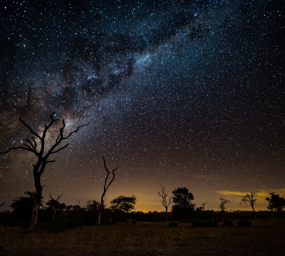 Witness the milky way from Sabi Sabi Private Game Reserve bush. Witness the milky way from Sabi Sabi Private Game Reserve bush.