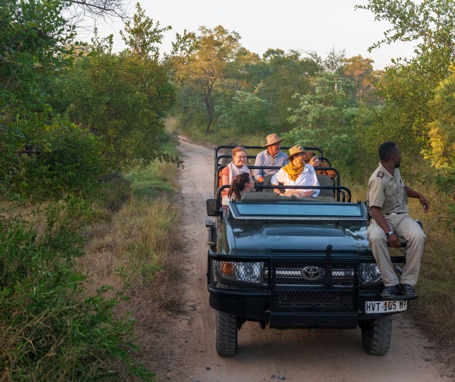 Sabi Sabi Experience Game Drive Guide Sabi Sabi Experience Game Drive Guide