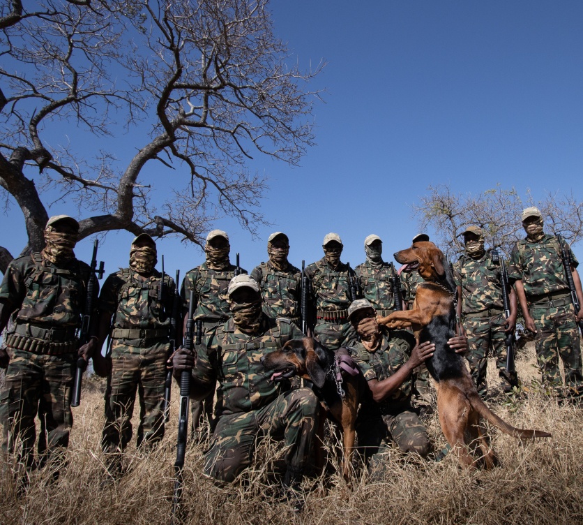 Sabi Sabi's anti-poaching unit: Dedicated guardians. Sabi Sabi's anti-poaching unit: Dedicated guardians.