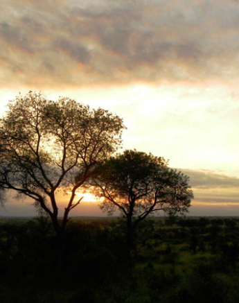 16April13   Sunsetguest 16April13   Sunsetguest