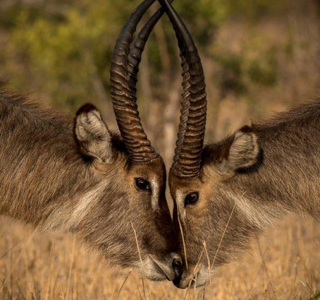 04Kyle Waterbuck Challenge 2 Final 04Kyle Waterbuck Challenge 2 Final