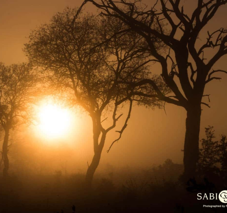 04Frederik Aucamp Sunrise 1 Final 04Frederik Aucamp Sunrise 1 Final