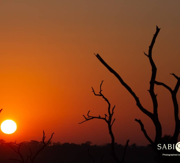 09Frederik Aucamp Bushveld Sunrise 21 05 2019 1 Final 09Frederik Aucamp Bushveld Sunrise 21 05 2019 1 Final
