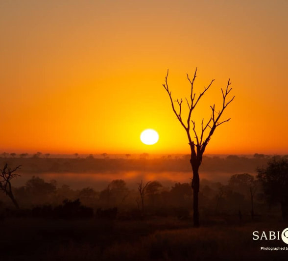 12Frederik Aucamp Bushveld Sunrise 21 05 2019 7 Final 12Frederik Aucamp Bushveld Sunrise 21 05 2019 7 Final