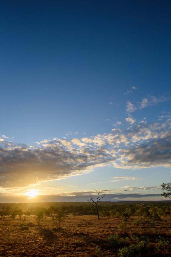 01Mike Palmer Sunrise New Marula 01Mike Palmer Sunrise New Marula
