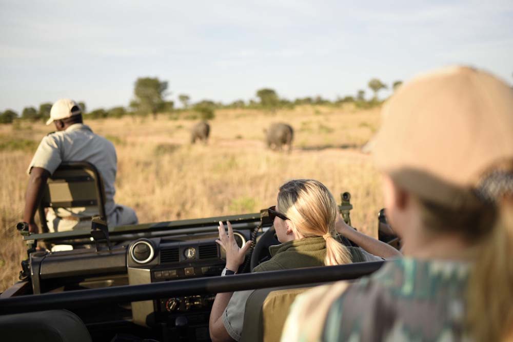 Into the Wild: Courtney’s blog | Sabi Sabi Private Game Reserve Blog