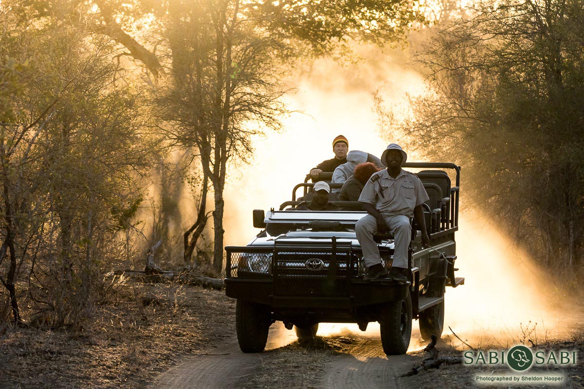 Why You Need To Come Back On Safari Sabi Sabi Private Game Reserve Blog