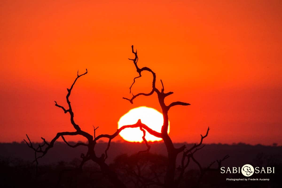 03Frederik Aucamp Sunrise Final 03Frederik Aucamp Sunrise Final