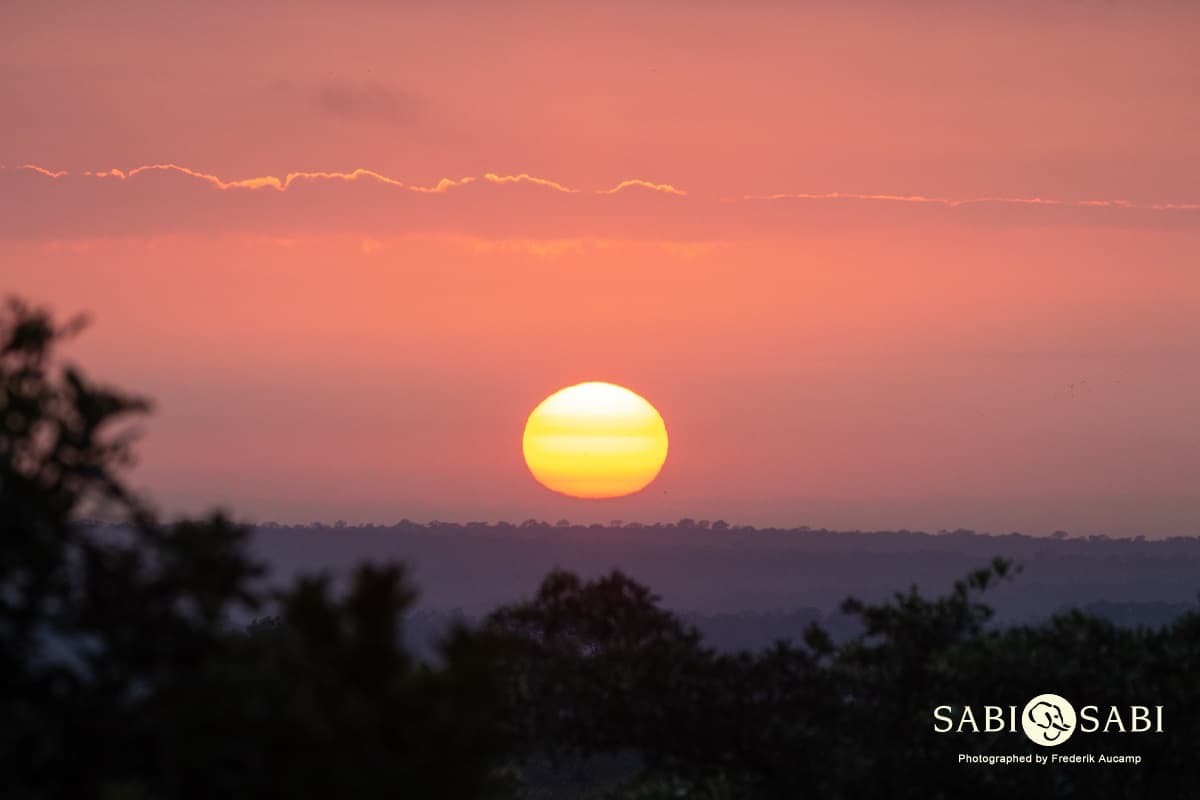 Bushveld Sunrise | Sabi Sabi Private Game Reserve Blog