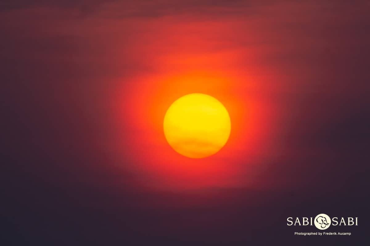 08Frederik Aucamp Bushveld Sunrise 21 05 2019 Final 08Frederik Aucamp Bushveld Sunrise 21 05 2019 Final