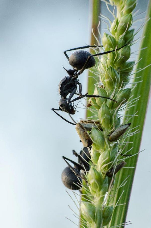 10June2014 Macro 5 10June2014 Macro 5