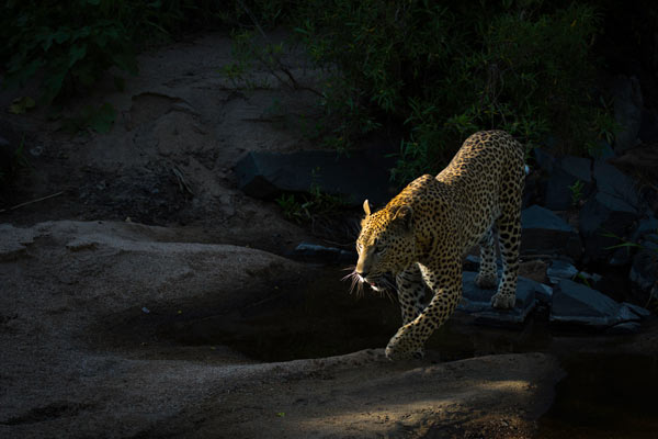 11March2014 Maxabeni 1 11March2014 Maxabeni 1