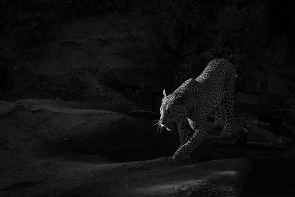 11March2014 Maxabeni 2 11March2014 Maxabeni 2