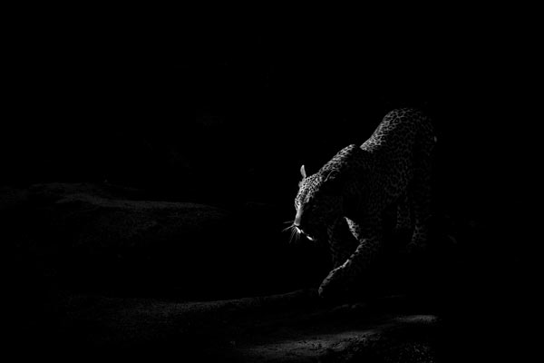 11March2014 Maxabeni 3 11March2014 Maxabeni 3