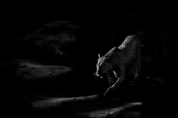 11March2014 Maxabeni Done 11March2014 Maxabeni Done