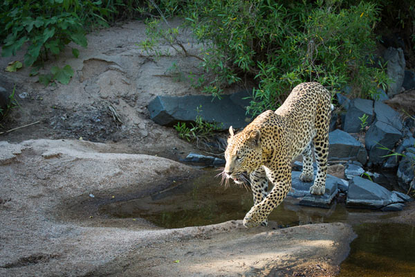 11March2014 Maxabeni Wrong Metering Mode 11March2014 Maxabeni Wrong Metering Mode